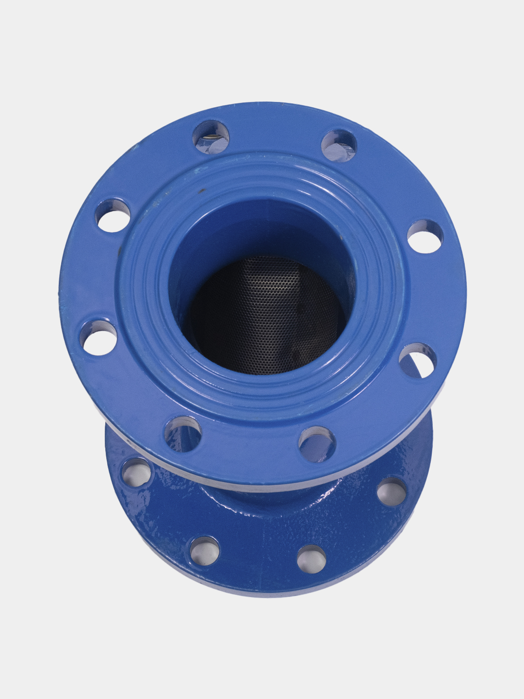 To'rli filtr DN100