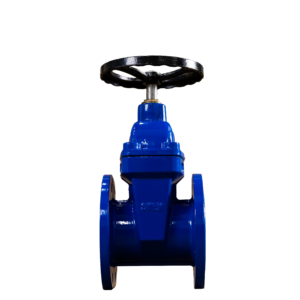 Задвижка д50 - 30ч 39р, чугунная с обрезиненным клином SWEM